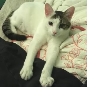 Meet your Posher, Serena